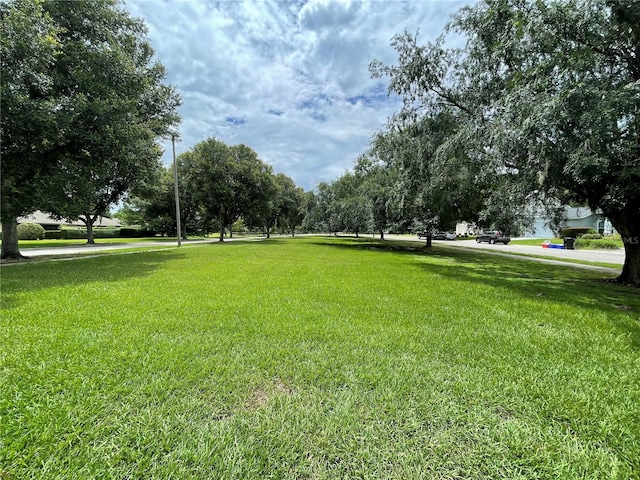5153 NW 81st Ave, Gainesville, FL 32653 - photo 59