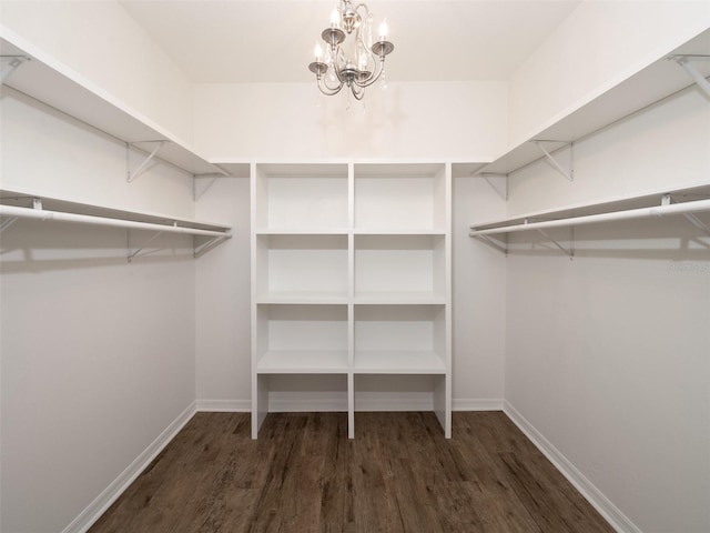 441 SW 129th Ter, Newberry, FL 32669 - spacious closet featuring wood finished floors and a chandelier