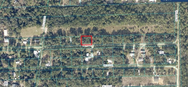 TBD NE 213th Ln, Fort Mc Coy, FL 32134 - photo 7