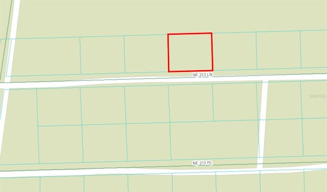 TBD NE 213th Ln, Fort Mc Coy, FL 32134 - photo 9
