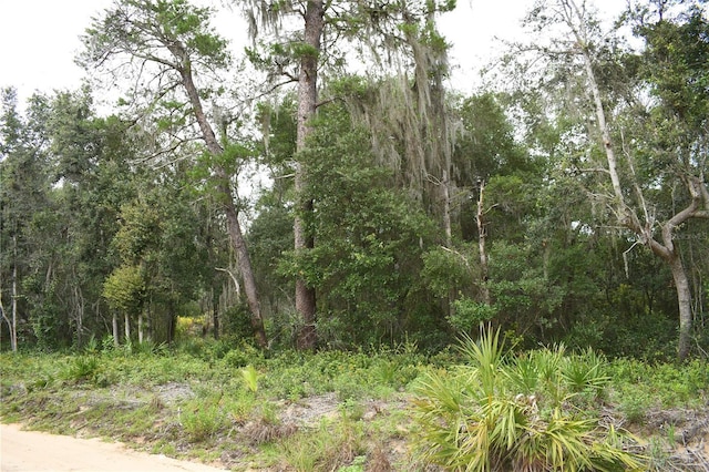 TBD NE 213th Ln, Fort Mc Coy, FL 32134 - photo 1