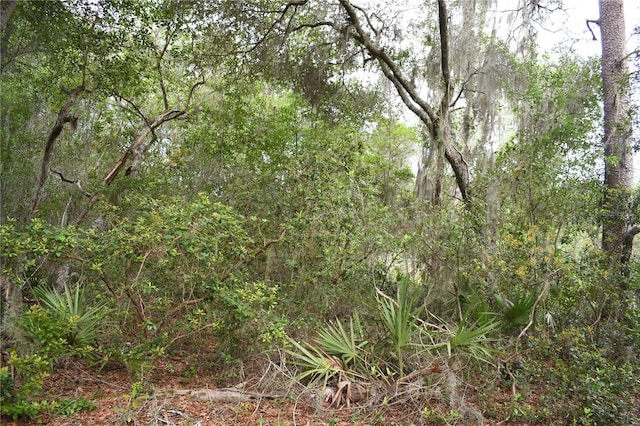 TBD NE 213th Ln, Fort Mc Coy, FL 32134 - photo 3