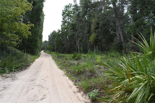 TBD NE 213th Ln, Fort Mc Coy, FL 32134 - photo 4