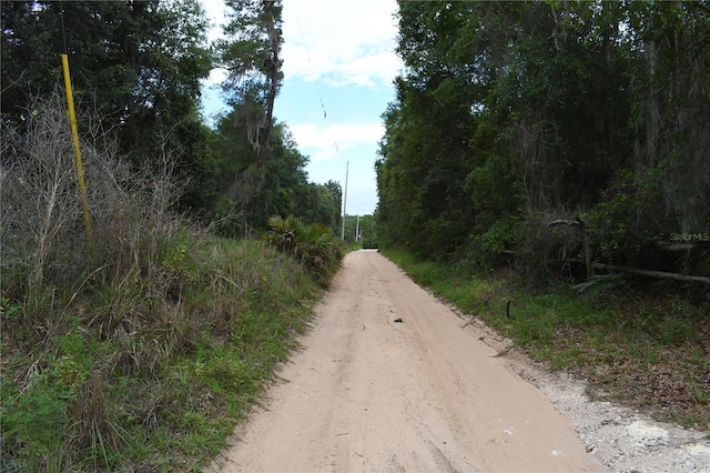 TBD NE 213th Ln, Fort Mc Coy, FL 32134 - photo 5