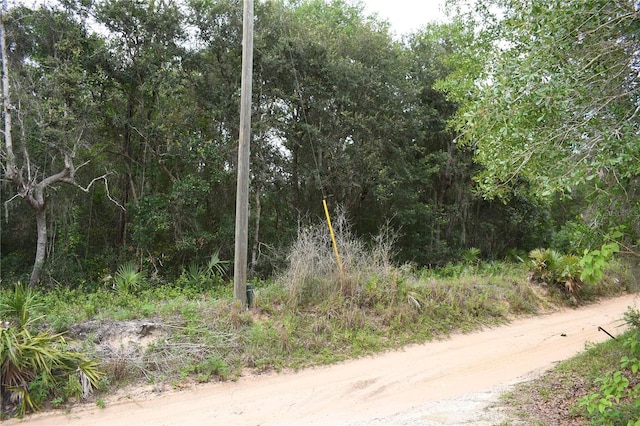 TBD NE 213th Ln, Fort Mc Coy, FL 32134 - photo 6