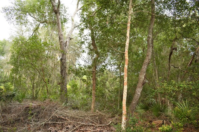 TBD NE 213th Ln, Fort Mc Coy, FL 32134 - photo 2