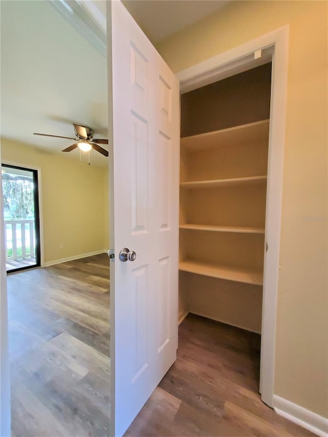 2207 SW 39th Dr, Gainesville, FL 32607 - view of closet