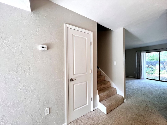 507 NW 39th Rd Unit 312, Gainesville, FL 32607 - photo 4