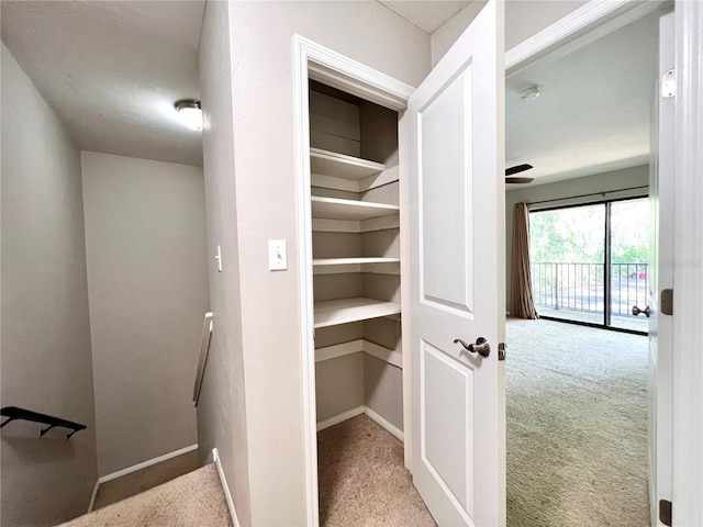 507 NW 39th Rd Unit 312, Gainesville, FL 32607 - photo 11