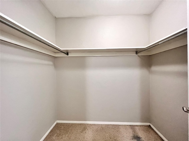 507 NW 39th Rd Unit 312, Gainesville, FL 32607 - photo 17