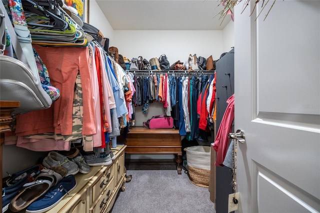 216 Hickory Crse, Ocala, FL 34472 - spacious closet with carpet