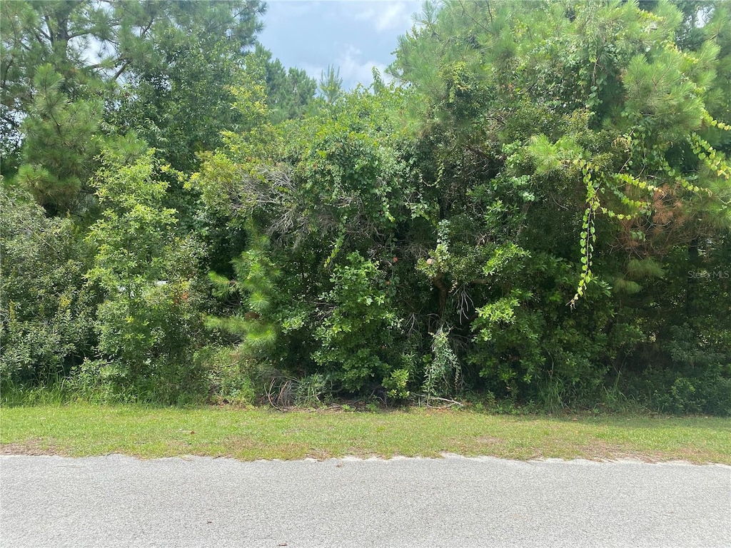 SW 83rd Ter, Lake Butler, FL 32054 - photo 2