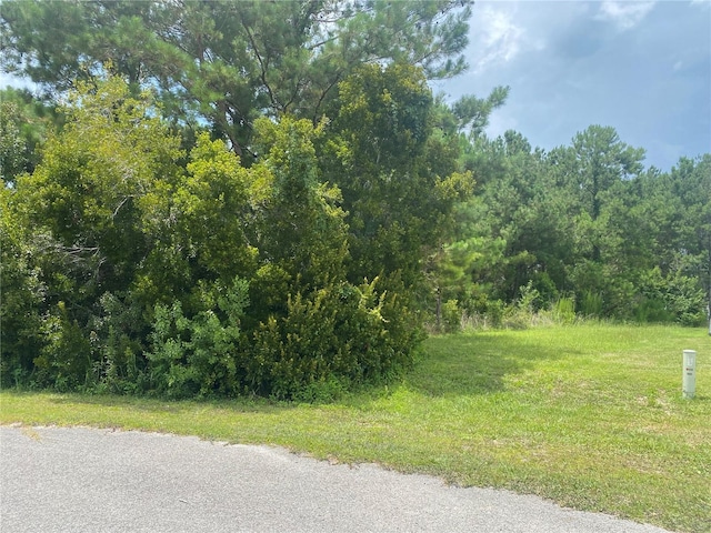 SW 83rd Ter, Lake Butler, FL 32054 - photo 3