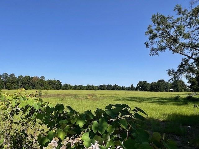 NW 160th St, Trenton, FL 32693 - photo 2