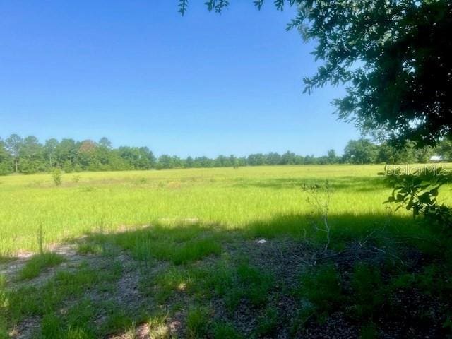 NW 160th St, Trenton, FL 32693 - photo 3