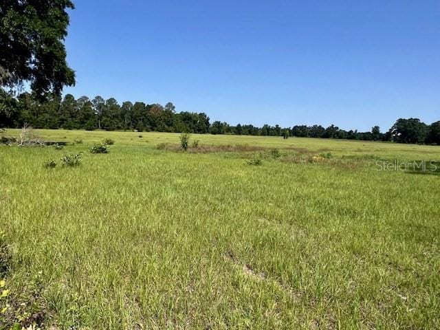 NW 160th St, Trenton, FL 32693 - photo 4