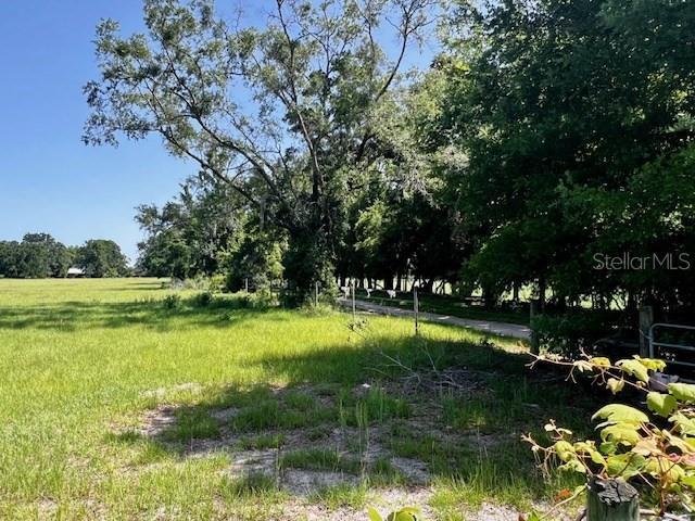 NW 160th St, Trenton, FL 32693 - photo 5