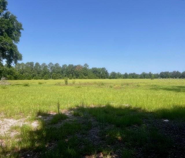 NW 160th St, Trenton, FL 32693 - photo 7