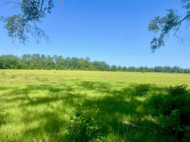 NW 160th St, Trenton, FL 32693 - photo 9