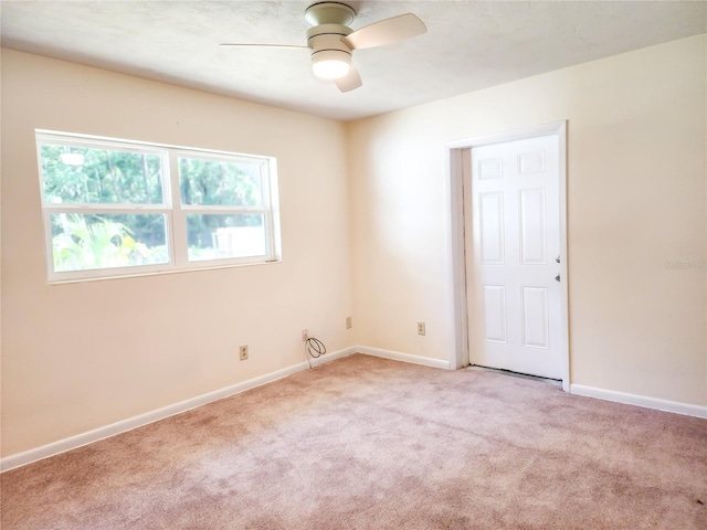 1601 NE 28th Ave, Gainesville, FL 32609 - carpeted empty room with ceiling fan and baseboards