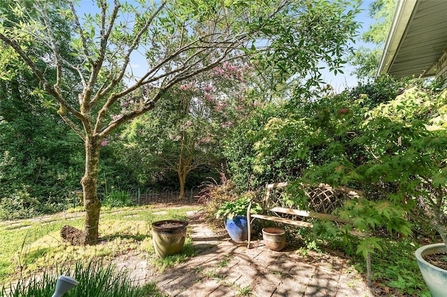 12121 NW 148th Pl, Alachua, FL 32615 - photo 24