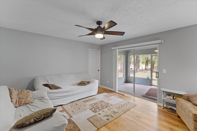 7550 NW 51st Ct, Chiefland, FL 32626 - photo 6