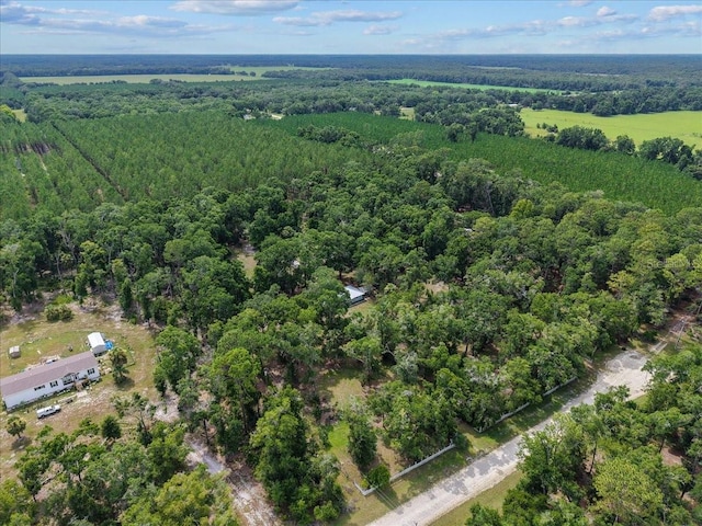 7550 NW 51st Ct, Chiefland, FL 32626 - photo 33