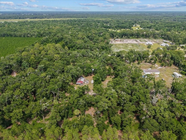 7550 NW 51st Ct, Chiefland, FL 32626 - photo 34