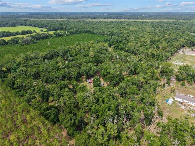 7550 NW 51st Ct, Chiefland, FL 32626 - photo 35