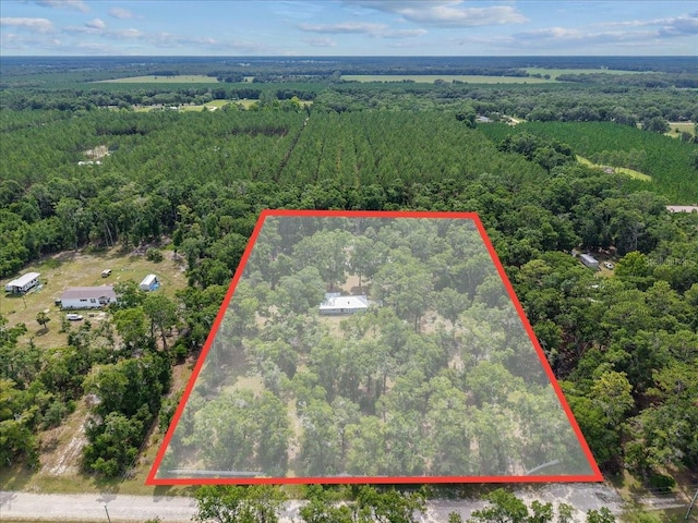 7550 NW 51st Ct, Chiefland, FL 32626 - photo 38