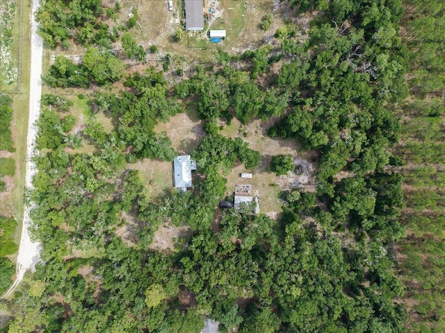 7550 NW 51st Ct, Chiefland, FL 32626 - photo 39