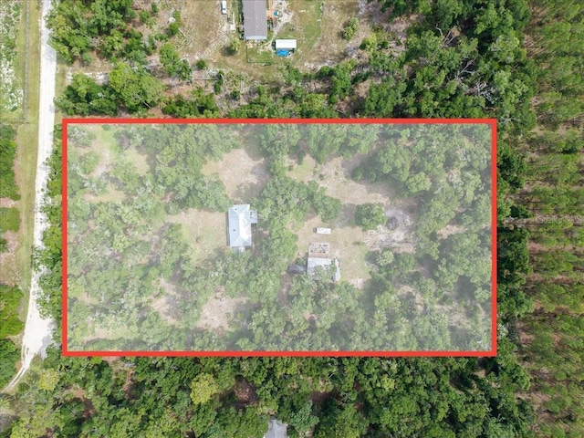 7550 NW 51st Ct, Chiefland, FL 32626 - photo 40