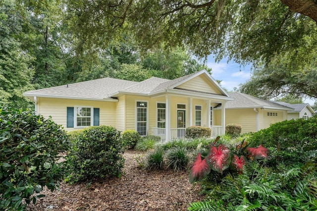 7259 White Oaks Rd, Alachua, FL 32615 - photo 2