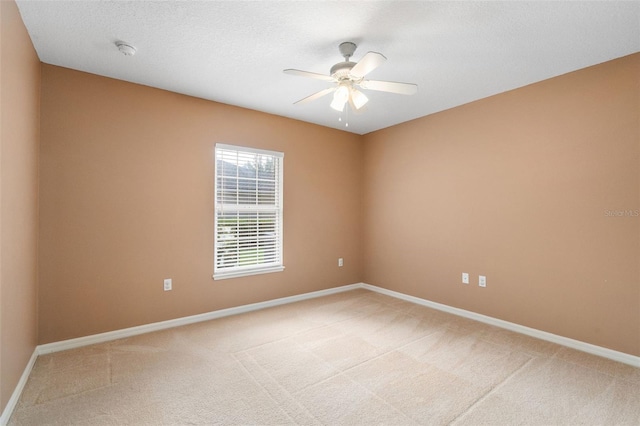 7259 White Oaks Rd, Alachua, FL 32615 - photo 17