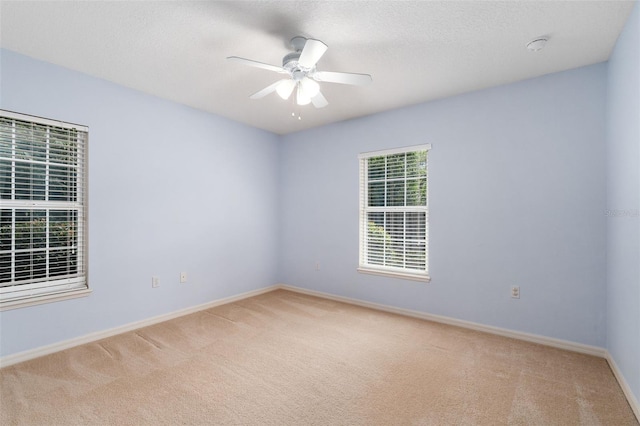 7259 White Oaks Rd, Alachua, FL 32615 - photo 19