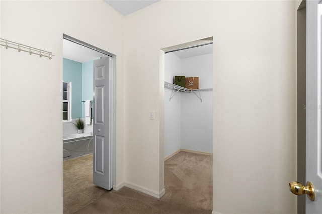 7259 White Oaks Rd, Alachua, FL 32615 - photo 26