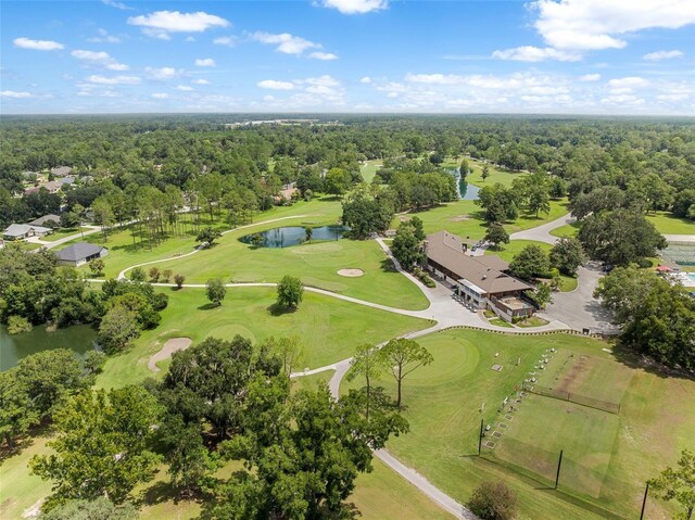 7259 White Oaks Rd, Alachua, FL 32615 - photo 48