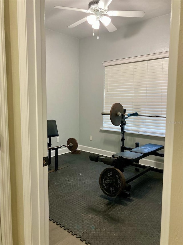 23750 NW 193rd Ave, High Springs, FL 32643 - photo 14
