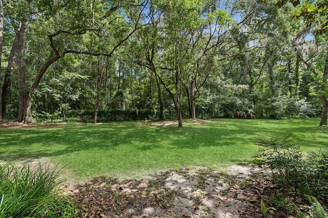 507 NW 39th Rd Unit 160, Gainesville, FL 32607 - photo 35