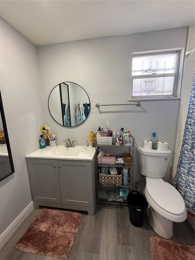 1510 SE 14th Ave, Gainesville, FL 32641 - bathroom with wood finished floors, vanity, and a shower with curtain