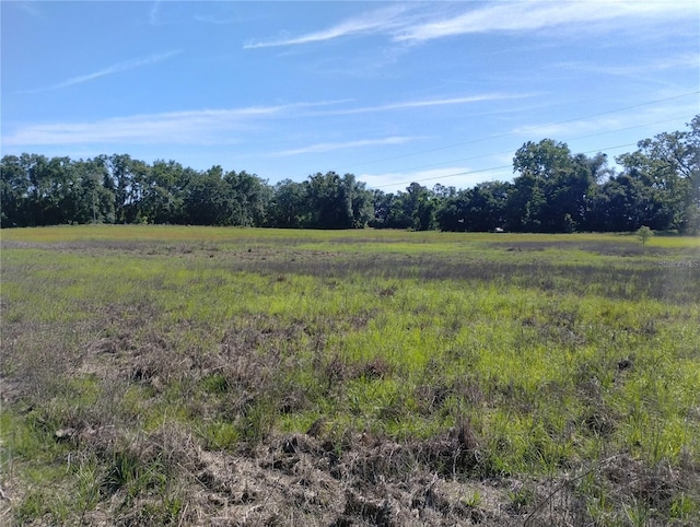 8335 168th St, Mc Alpin, FL 32062