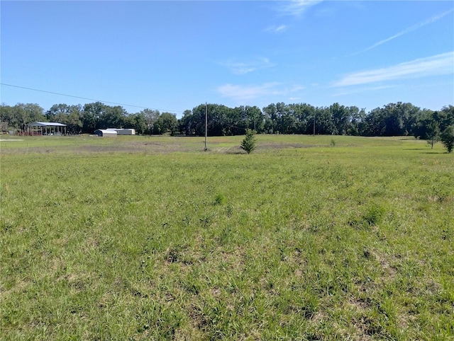 8335 168th St, Mc Alpin, FL 32062