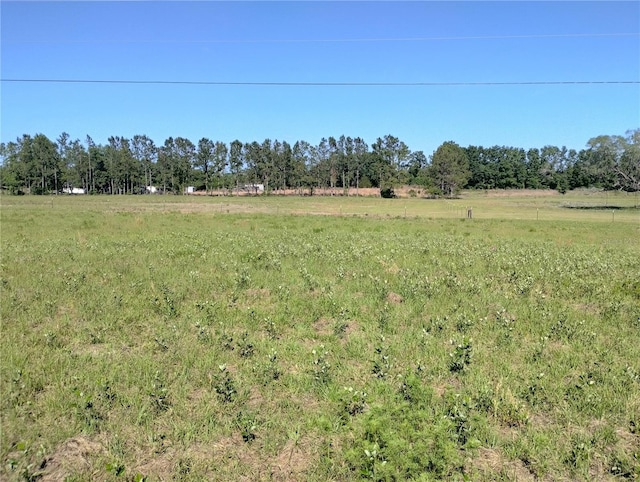 8335 168th St, Mc Alpin, FL 32062