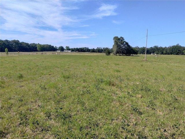 8335 168th St, Mc Alpin, FL 32062
