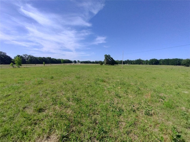 8335 168th St, Mc Alpin, FL 32062