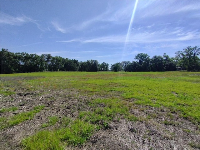 8335 168th St, Mc Alpin, FL 32062