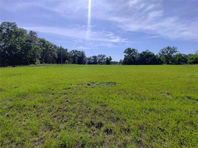 8335 168th St, Mc Alpin, FL 32062