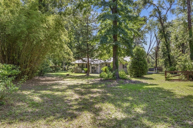 4923 SW Ichetucknee Ave, Fort White, FL 32038 - view of yard