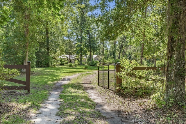 4923 SW Ichetucknee Ave, Fort White, FL 32038 - view of dirt / gravel driveway with a gate and a gated entry