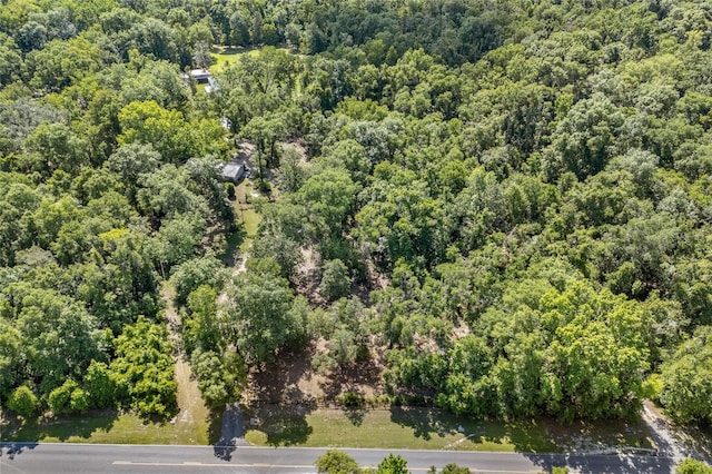 4923 SW Ichetucknee Ave, Fort White, FL 32038 - drone / aerial view of a forest